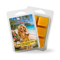Brazilian Beach Vibes Wax Melt - Salted Caramel, Pistashio, Jasmine Scent