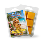 Brazilian Beach Vibes Wax Melt - Salted Caramel, Pistashio, Jasmine Scent
