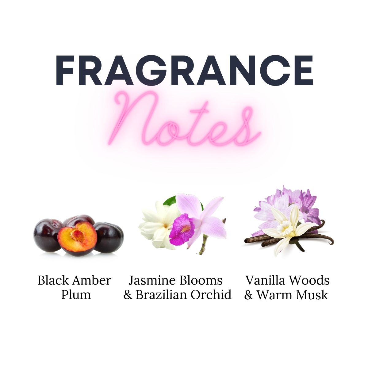 Brazilian Orchid - Black Amber Plum, Orchid, Vanilla Woods Scent