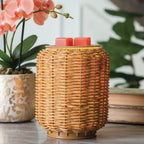 Brazilian Orchid - Black Amber Plum, Orchid, Vanilla Woods Scent