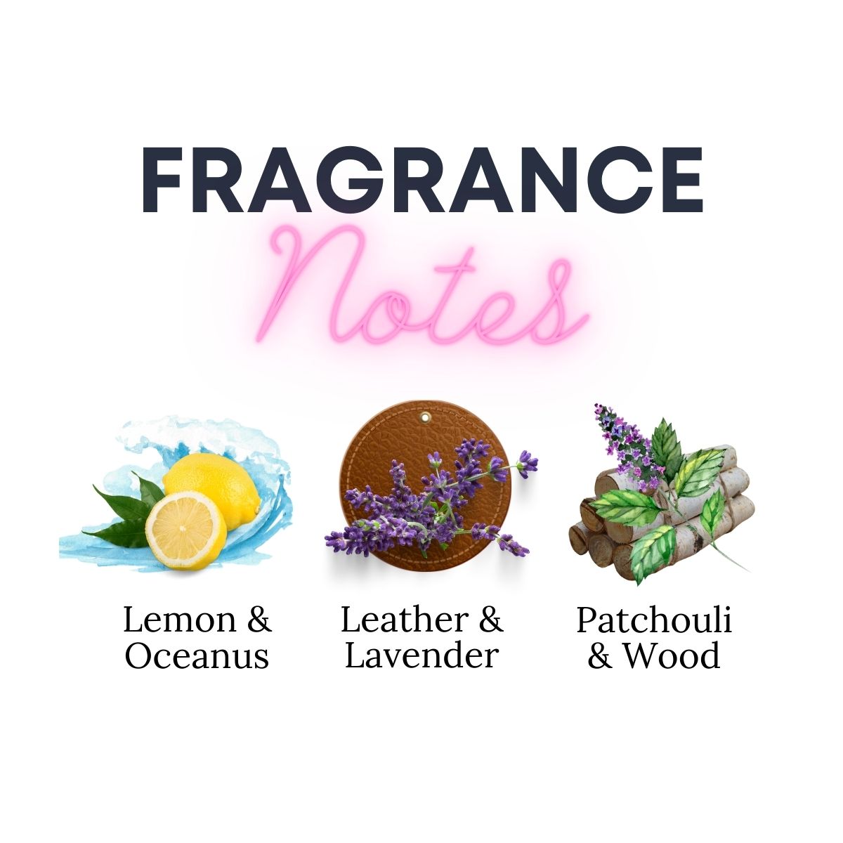 Modern Creed Wax Melts - Pineapple, Birch, Musk Scent