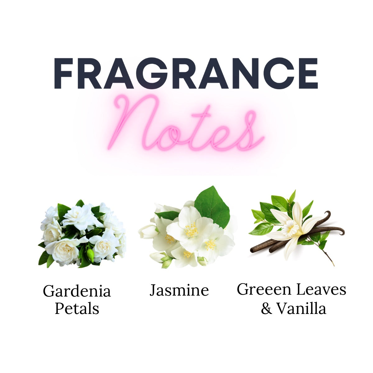 Gardenia Bloom Wax Melts – Gardenia, Jasmine, Vanilla Scent