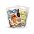 Pina Colada Smoothie Wax Melts: Pineapple, Coconut, Banana Scent