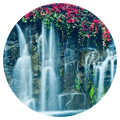 Hibiscus Waterfall Wax Melts