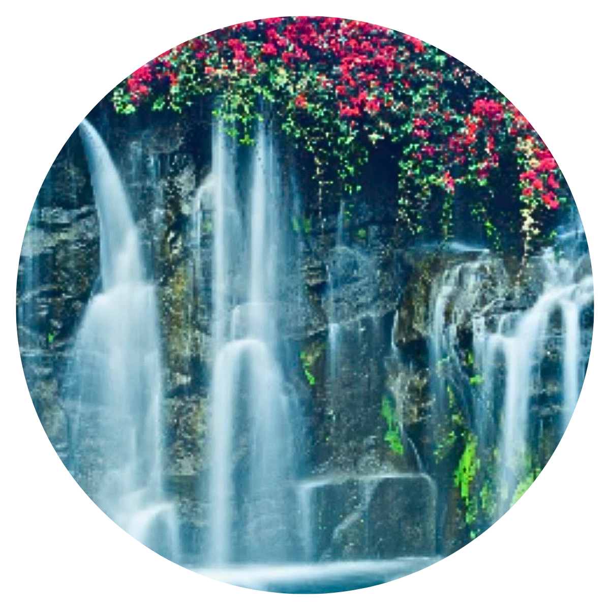 Hibiscus Waterfall Wax Melts