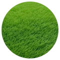 Fresh Cut Grass Wax Melts