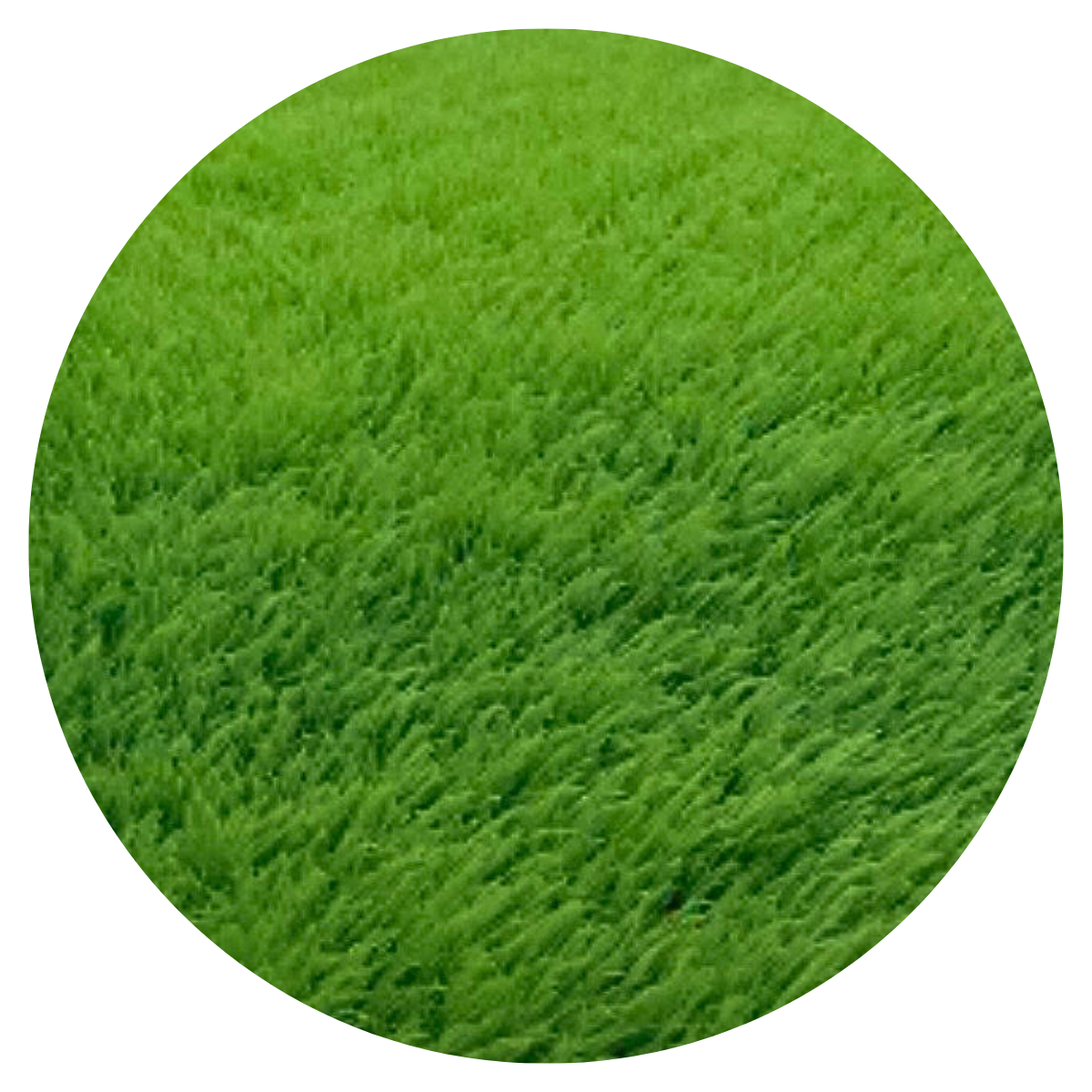 Fresh Cut Grass Wax Melts