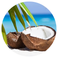 Coconut Beach Wax Melts