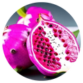 Pink Dragonfruit Wax Melts