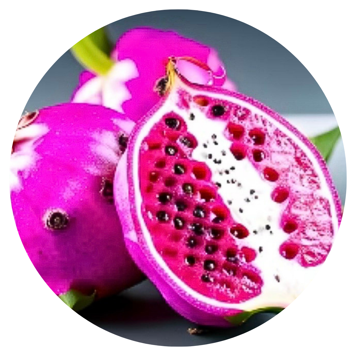 Pink Dragonfruit Wax Melts