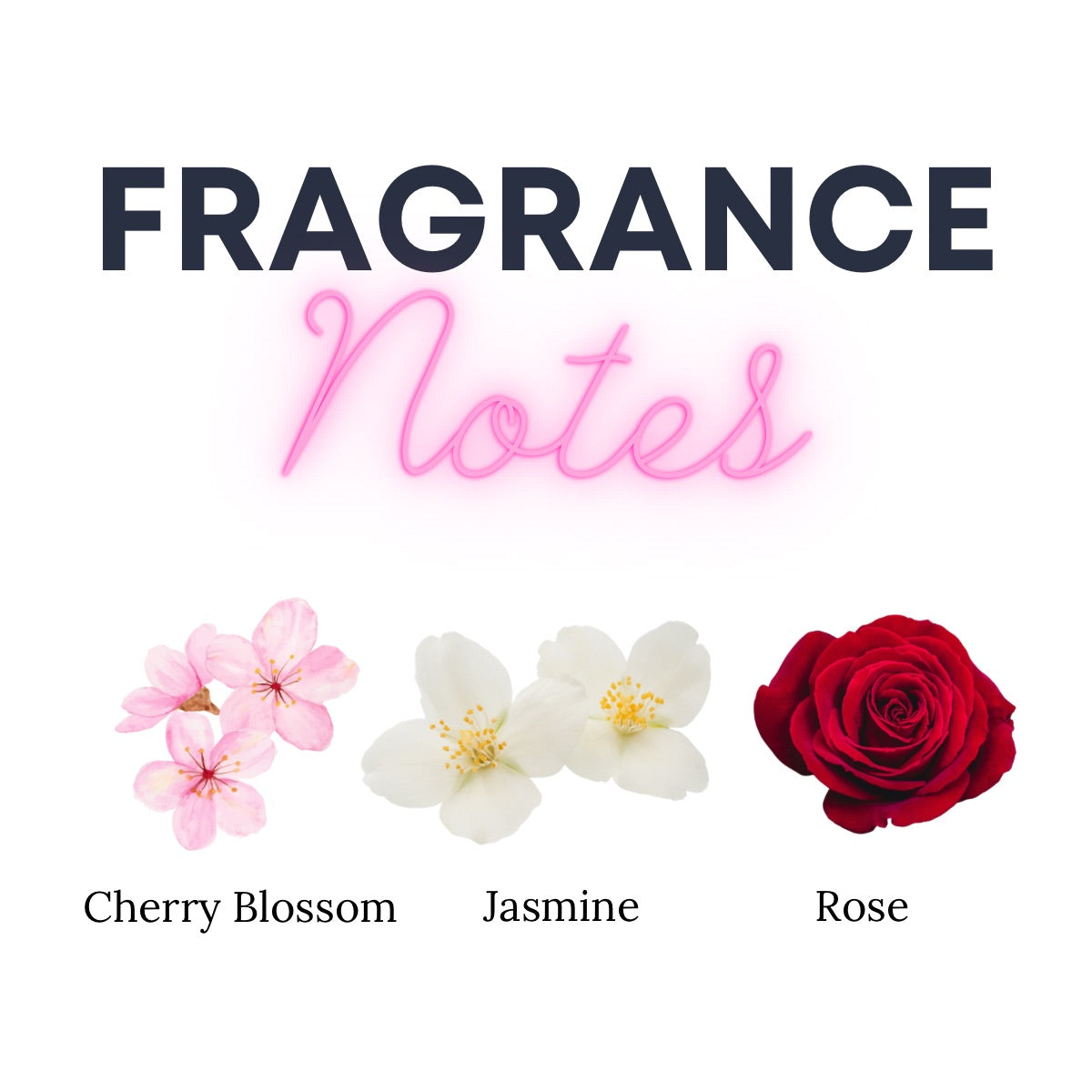 Fragrance notes with cherry blossom, jasmine, and rose flowers on a white background