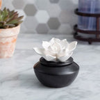 Porcelain white gardenia flower in a black pot on a marble surface with a hexagonal tile wall in the background.