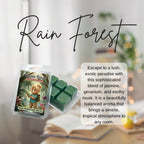 Spring Scent Box - Cherry Blossom, Rain Forest, Citrus & Lemon Fragrance Wax Melt Set