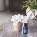 Decorative porcelain sunflower diffuser in a pot with a bottle of essential oil on a surface