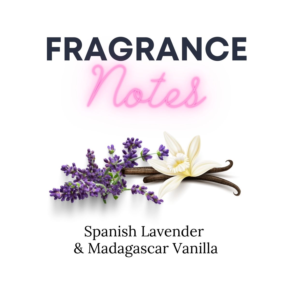 Lavender Vanilla Wax Melts - Spanish Lavender, Madagascar Vanilla Scent