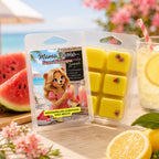 Packaged watermelon lemonade wax melts with a beach-themed label, surrounded by watermelon, lemons, and flowers.
